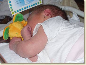 20040921-02 Met muis in zijn ZH-wiegje